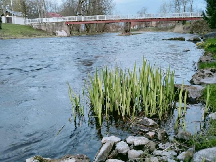 Lossi 8 -4 Poltsamaa Maida Bagian luar foto